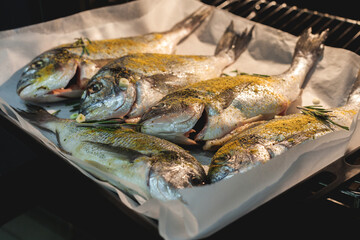 Fresh dorado fish on a baking sheet, ready for baking in the oven