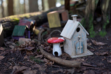 Fairy Houses in The Forest