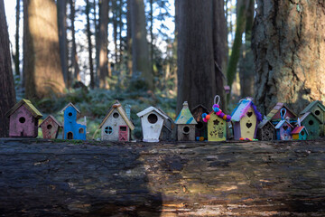 Fairy Houses in The Forest