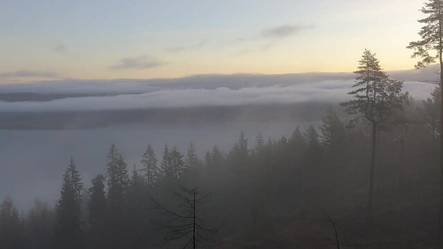 Drammens fjord covered with fog. View from top of small mountain.