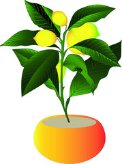 Decorative houseplant for decorating the interior of a house or apartment. Potted plant on a white background. Vector illustration. Lemon. Yellow, orange, green colors. Print, poster, banner. Logo.