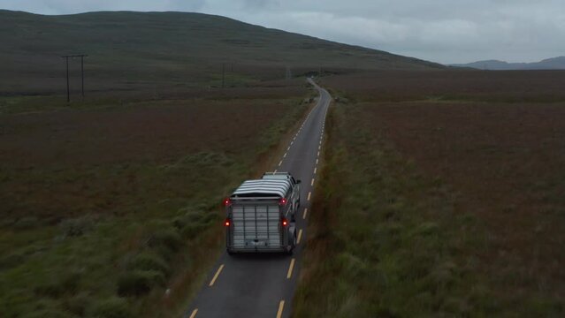 Forwards tracking of offroad car with horse trailer driving on narrow road in countryside. Pastures and grasslands along road. Ireland
