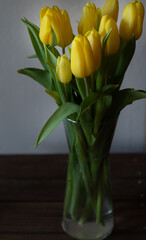 Tulpen