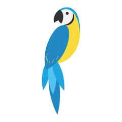 Isolated colored cute parrot tropical bird Vector