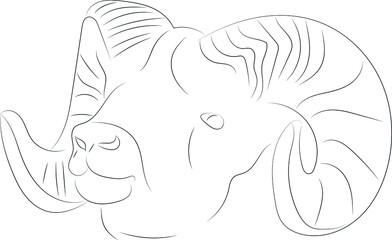Stylized vector sketch drawn with strokes of lines of different thicknesses. Zodiac signs. Aries. The head of a ram with twisted horns.