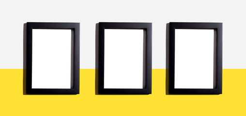 Blank rectangle picture frames with copy space