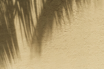 Plastered textured pale yellow wall with hard shadows from palm leaves as abstract background