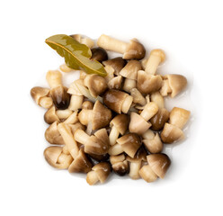 Pickled Straw Mushrooms Isolated