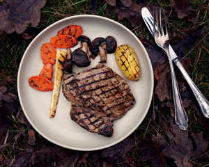 Steak and grilled vegetables outdoor on a plate