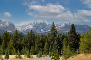 Fototapeta premium Green trees in front of the Canadian Rocky Mountains in summer with road mountain and blue cloud sky