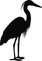 Black silhouette of a heron. A water bird. A relative of the stork and the crane. Illustration of an animal. Vector graphics