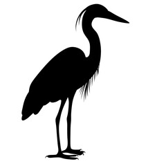 Black silhouette of a heron. A water bird. A relative of the stork and the crane. Illustration of an animal