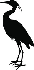 Black silhouette of a heron. A water bird. A relative of the stork and the crane. Illustration of an animal. Vector graphics