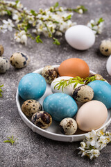 Easter eggs in blue color