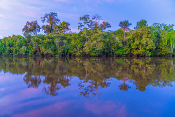 Amazon River bank at dusk without wind