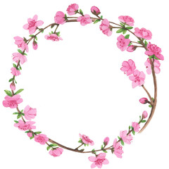Obraz na płótnie Canvas Watercolor floral round wreath with sakura flowers, cherry flowers and young green leaves, isolated objects set, flower greeting card