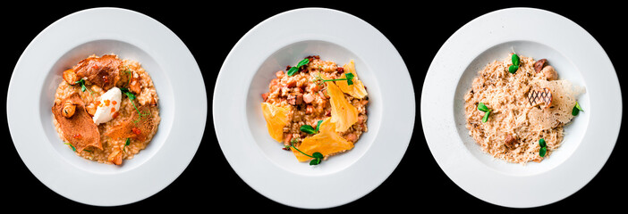 risotto collection set with mushrooms, parmesan cheese, pork meat and salmon isolated