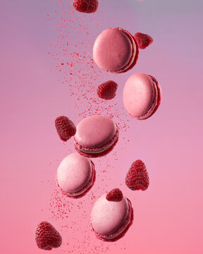 French pink macarons with fresh raspberry berries with powder around. Levitation on pink and purple gradient