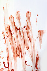 Photo of red splattered blood drops, smudges and hand print on white background.
