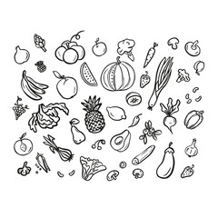 Vegetables and fruits doodle drawing  set. Vegetables such as carrots,  mushrooms, cucumbers, cabbage, potatoes, etc. hand drawn doodle vector illustrations in black isolated on white background.