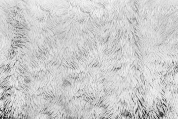 Backdrop close-up photo texture of light colored animal fur material.