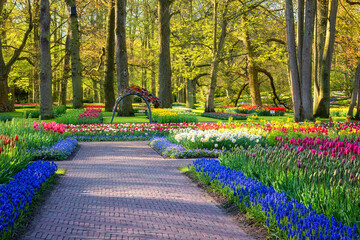 Keukenhof royal garden in spring, scenic view of sunny park alley with different flowers and bright green grass and trees, beautiful landscape, outdoor travel and botanical background, Netherlands