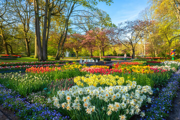 Keukenhof royal garden in spring, scenic view of sunny park with different flowers and bright green grass and blossoming trees, beautiful landscape, outdoor travel and botanical background, Netherland