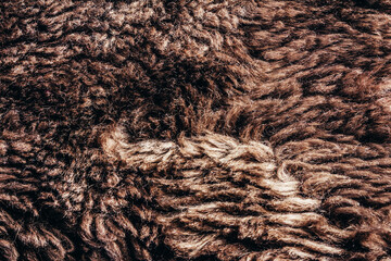 Backdrop close-up photo texture of brown colored synthetic fur material.