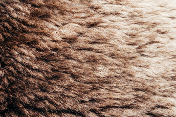 Backdrop close-up photo texture of brown colored animal fur material.