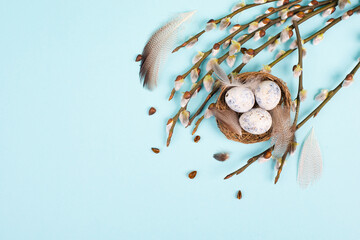 Easter holiday background, nest with small eggs, branches of pussy willow, greeting card, spring season, blue color, copy space for text