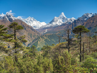view to forest and Himalaya peaks in Nepal