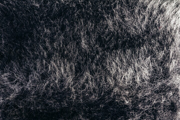 Backdrop close-up photo texture of black colored animal fur material.