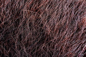 Backdrop close-up photo texture of brown colored animal fur and hair material.