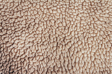 Backdrop close-up photo texture of light brown colored lining fur material.