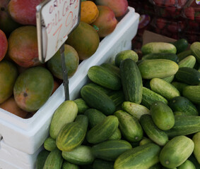 cucumbers (dill pickles) in a market