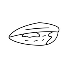 mussel closed shell line icon vector illustration