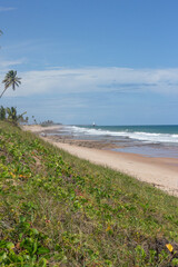 beautiful desert beach landscape on a sunny day