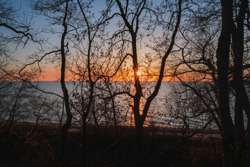 sunny sunset on the sea view from the coastal forest