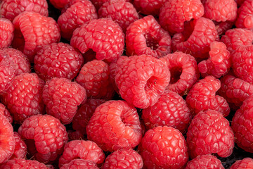Background from freshly piked red raspberry berries