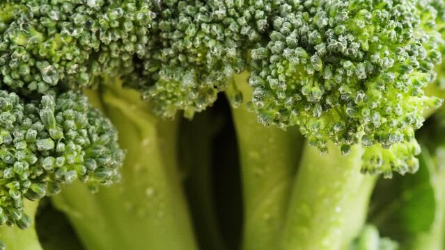 Broccoli close-up, fresh green broccoli and water drops, vitamins, raw food and vegetarian lifestyle concept.