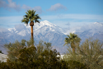 Winter in California, palm trees and mountains covered in snow, Palm Springs