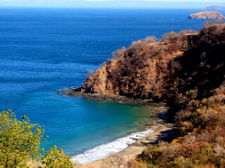 Costa Rica Pacific sea life