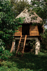 Fototapeta na wymiar Wood cabin with palm roof in the middle of the jungle
