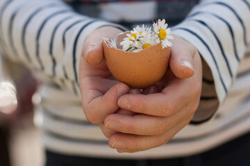 Mano sujetando huevo con flores - obrazy, fototapety, plakaty