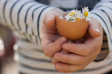 Mano sujetando huevo con flores - obrazy, fototapety, plakaty
