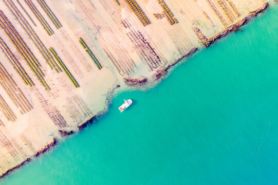 Aerial view of oyster beds at low tide, Lege-Cap-Ferret, Arachon Basin, Gironde, Nouvelle-Aquitaine, France