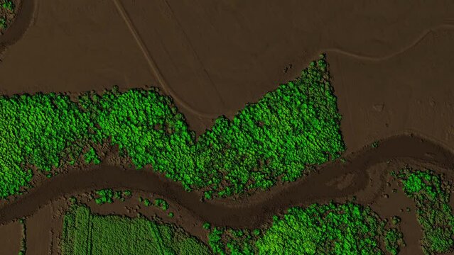 Animation of digital elevation model of a forest area with a river. GIS product made by aerial mapping from a drone. Lidar scan and multispectral camera gives NDVI and NIR effect.	
