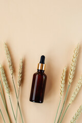 Cosmetic serum in brown glass bottle and ears of wheat on a light beige background. Natural cosmetics concept. Top view, flat lay
