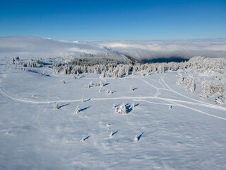 Aerial Winter view of Vitosha Mountain, Bulgaria