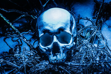 Horror scary photo of human skull laying on frozen ice surface forest ground.